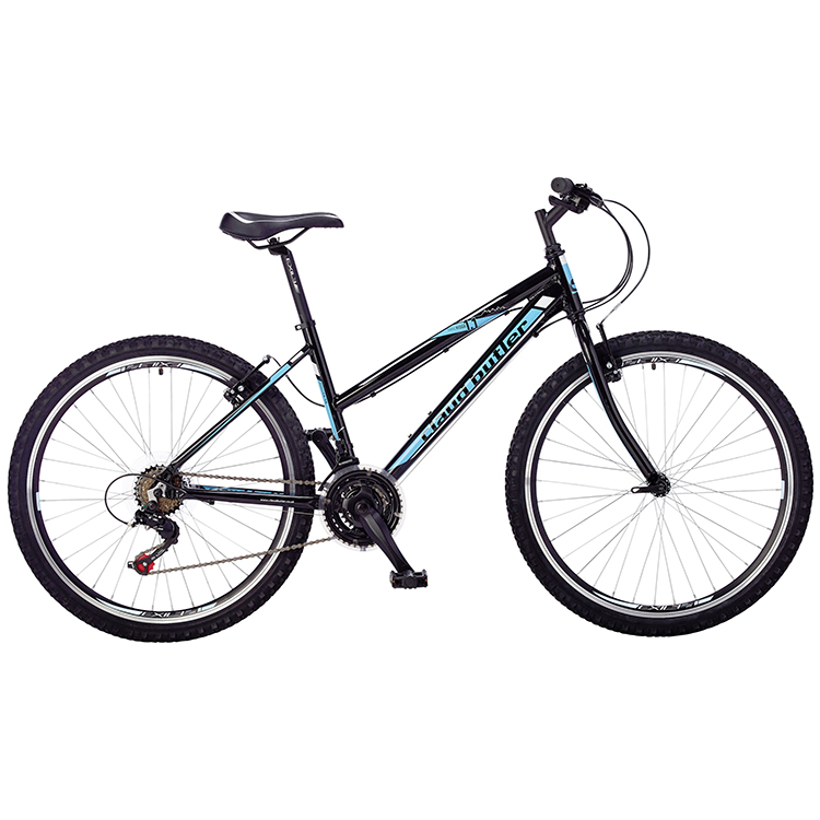 Our Bikes Small adult Bike